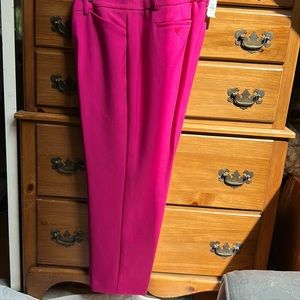 Talbot’s women’s 16 petite Hampshire Curvy magenta straight-leg pants
